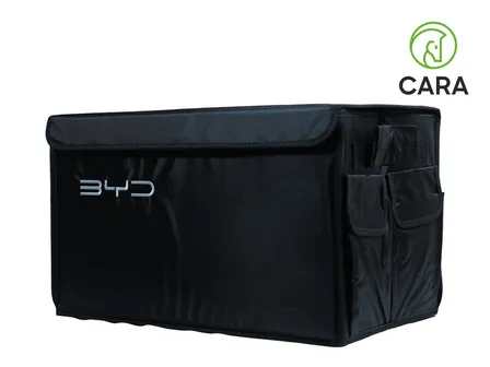 BAGAJ SUMKA BYD N